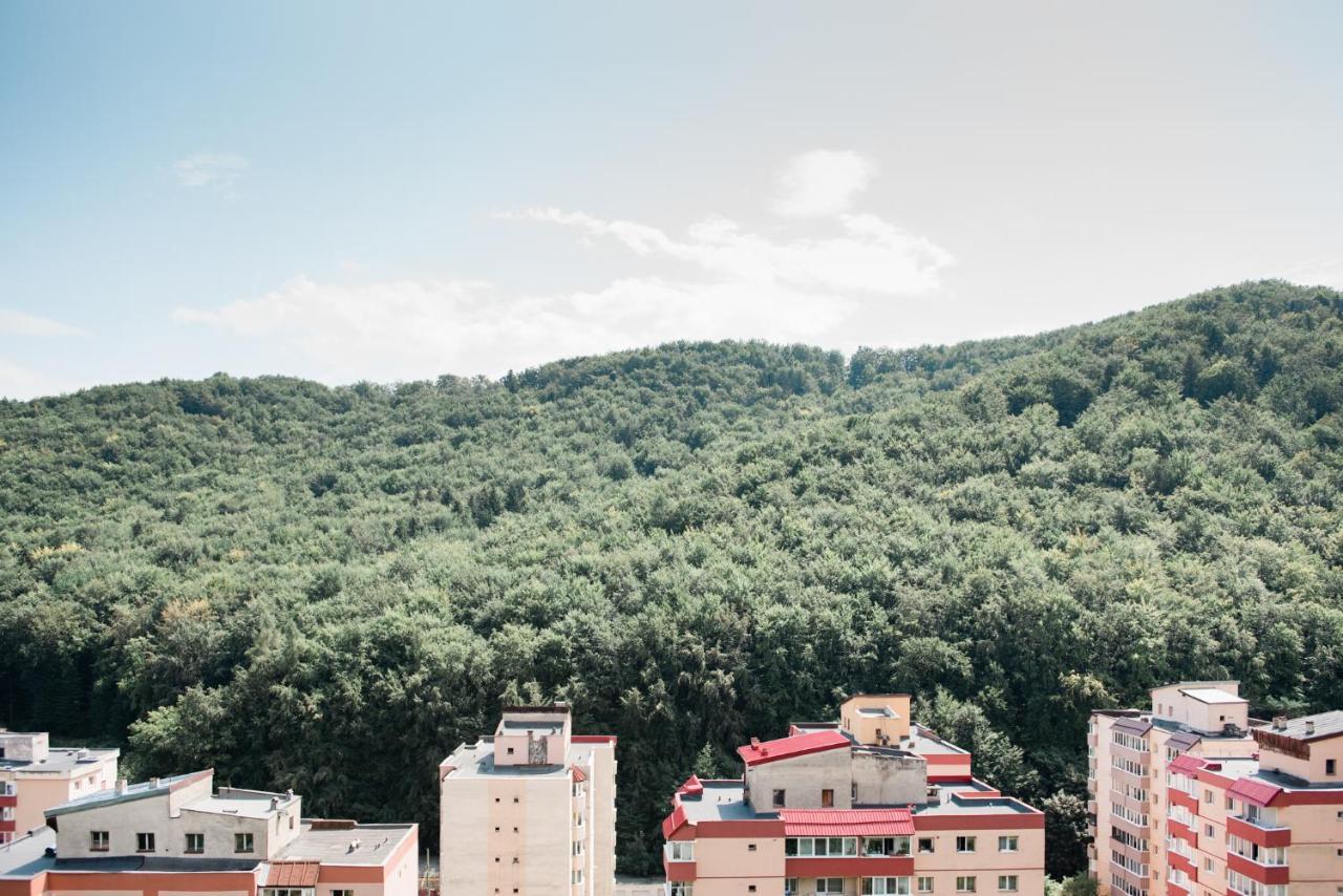 Nature Escape Apartment Brasov Luaran gambar