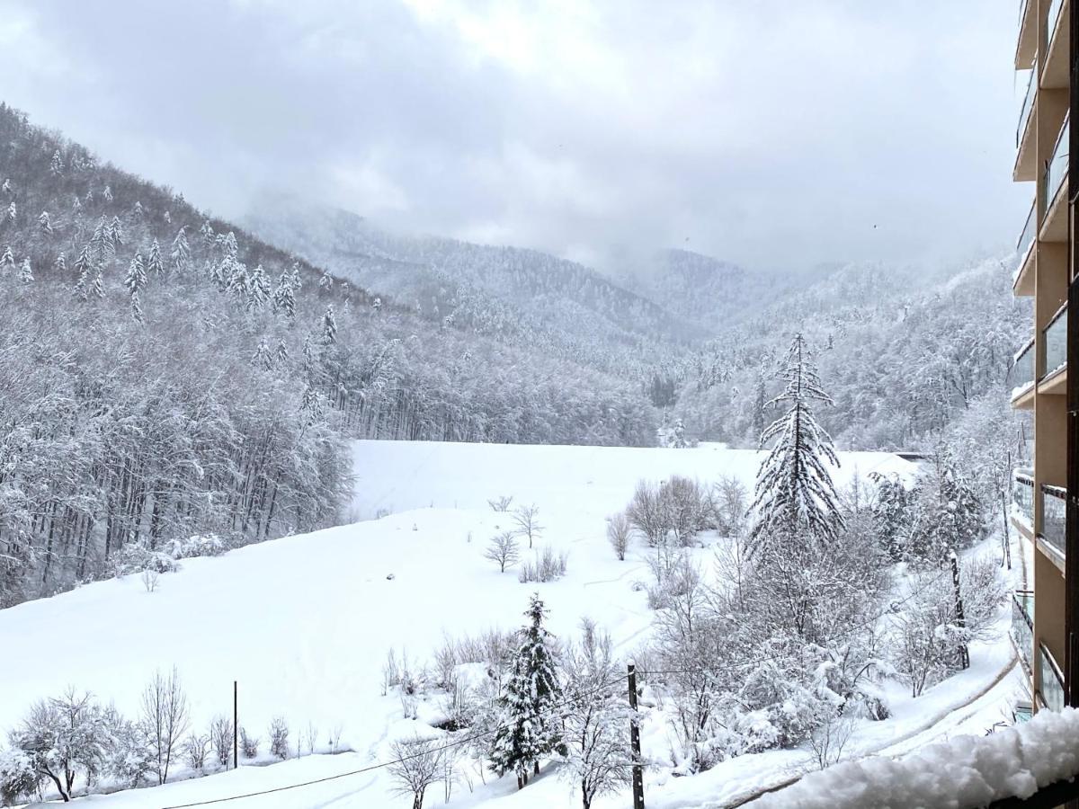 Nature Escape Apartment Brasov Luaran gambar